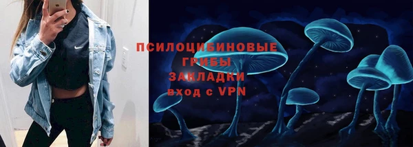 мяу мяу мука Алексеевка