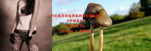 мяу мяу мука Алексеевка
